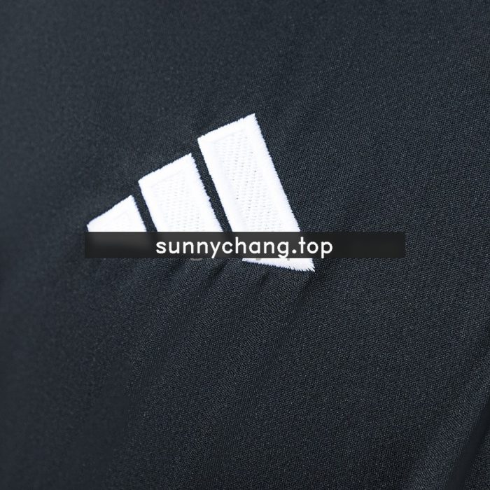 Germany 2025/2026 Polo Shirt - Black - 图片 5
