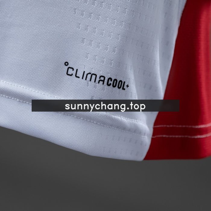 Germany 2026 Player Version Training Jersey - Green - 图片 4