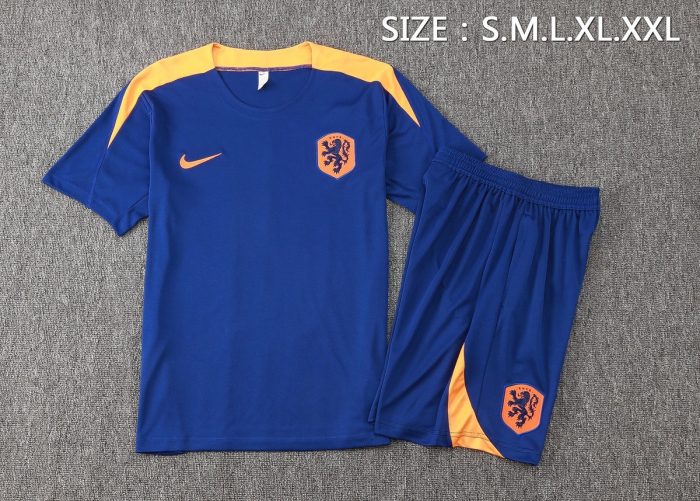 Netherlands 24-25 Short Sleeve Training Suit with 5-Panel Shorts - 图片 2