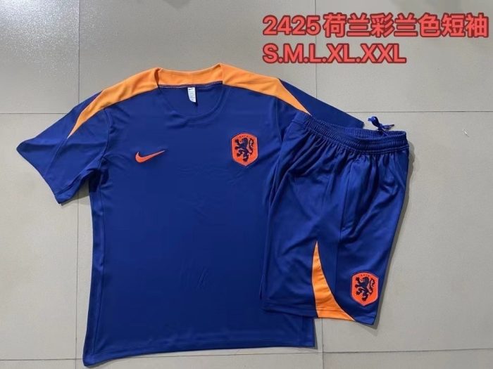 Netherlands 24-25 Short Sleeve Training Suit with 5-Panel Shorts - 图片 9