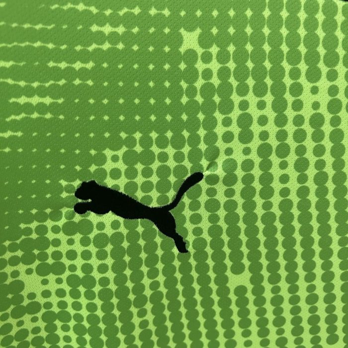 2025 Portugal Goalkeeper Jersey Green - 图片 9