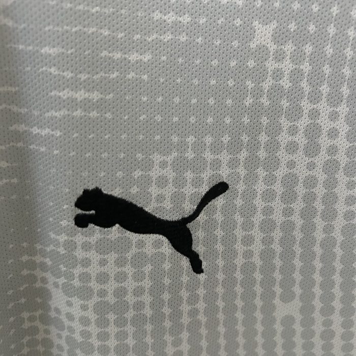 2025 Portugal Goalkeeper Jersey Grey - 图片 5