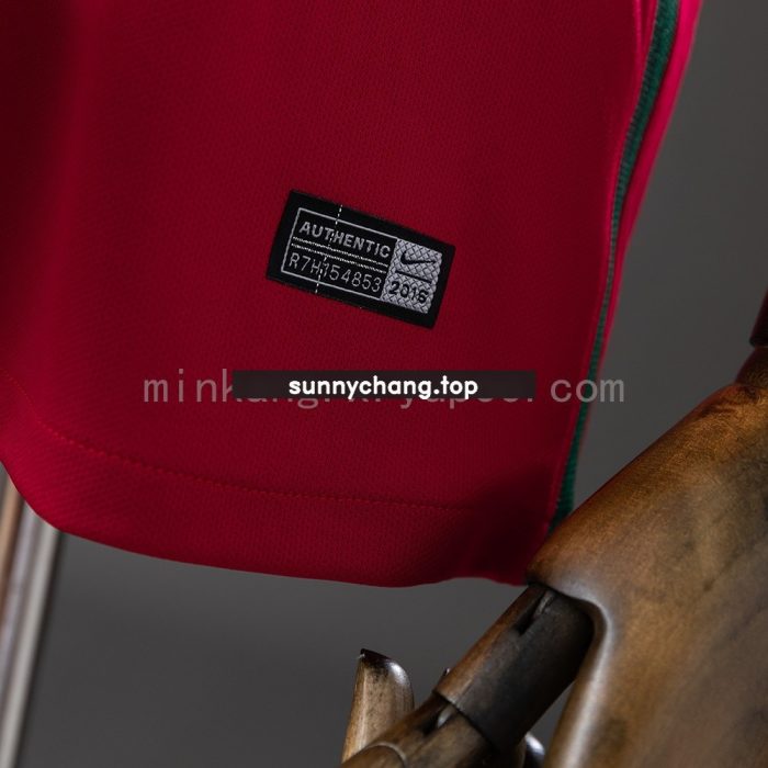 Portugal 2016 Home Retro Jersey - 图片 2