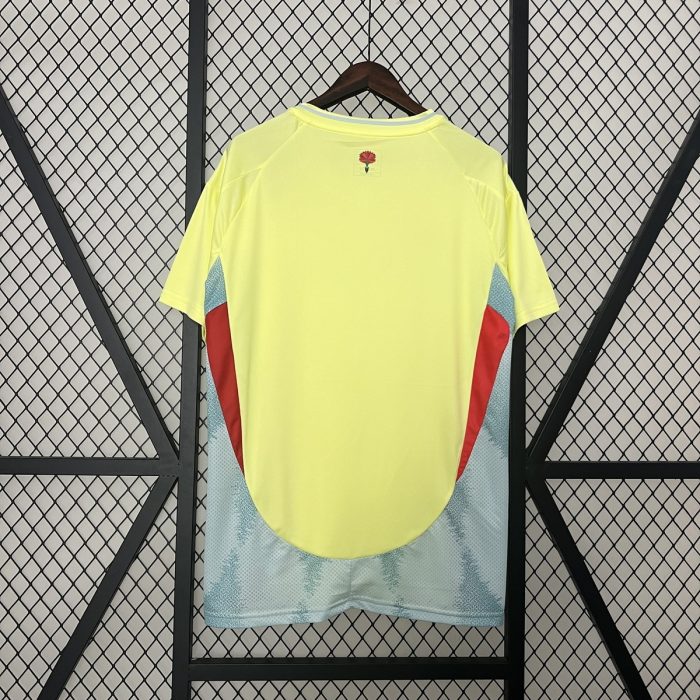 2024 Spain Away Jersey - 图片 3