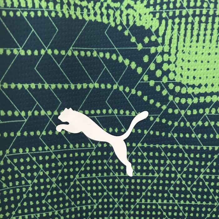 2025 Portugal Training Shorts - 图片 8