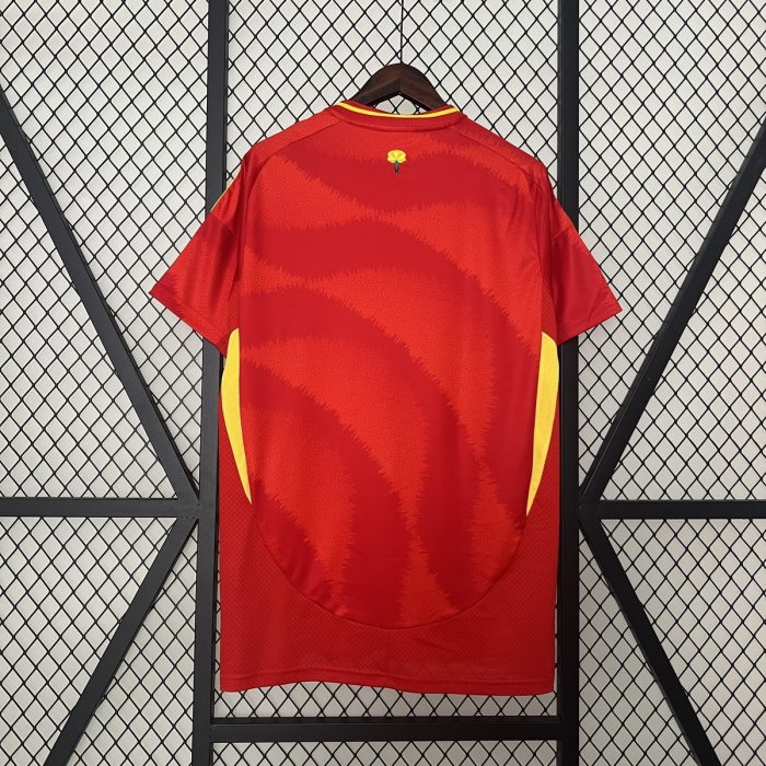2024 Spain Home Jersey - 图片 3