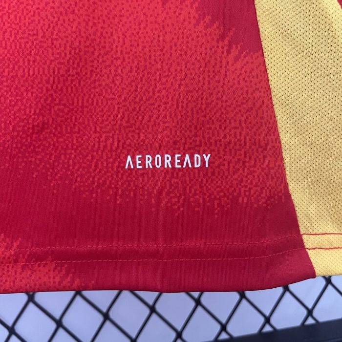 2024 Spain Home Jersey - 图片 5