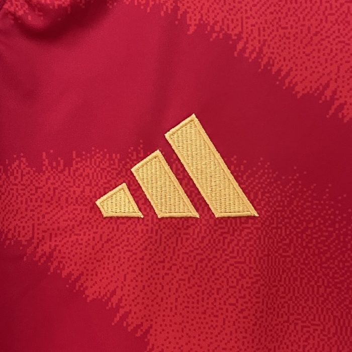 2024 Spain Home Jersey - 图片 7