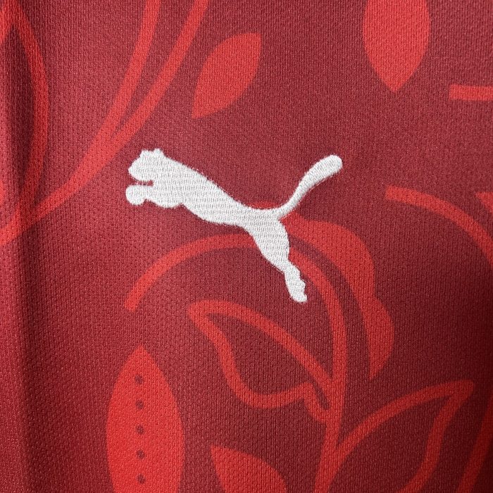 2025 Portugal Training Jersey - 图片 8