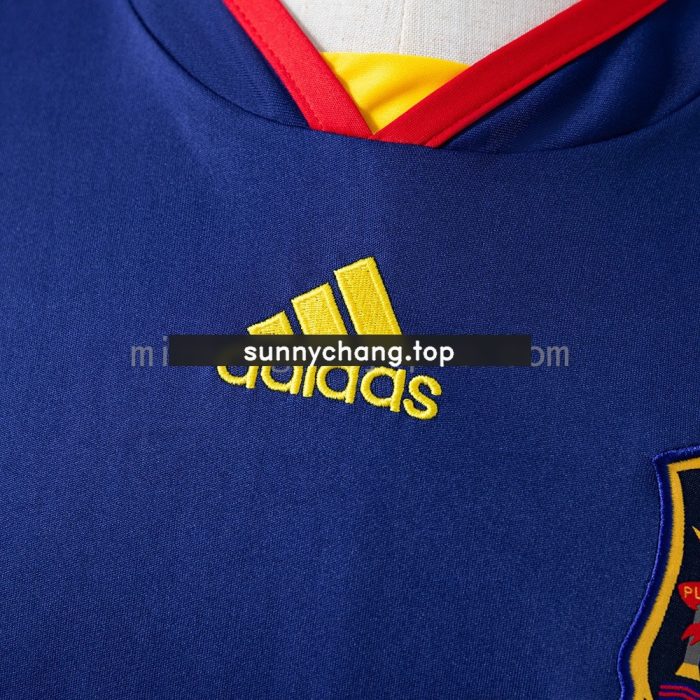 Spain 2010 Away Retro Jersey - 图片 4