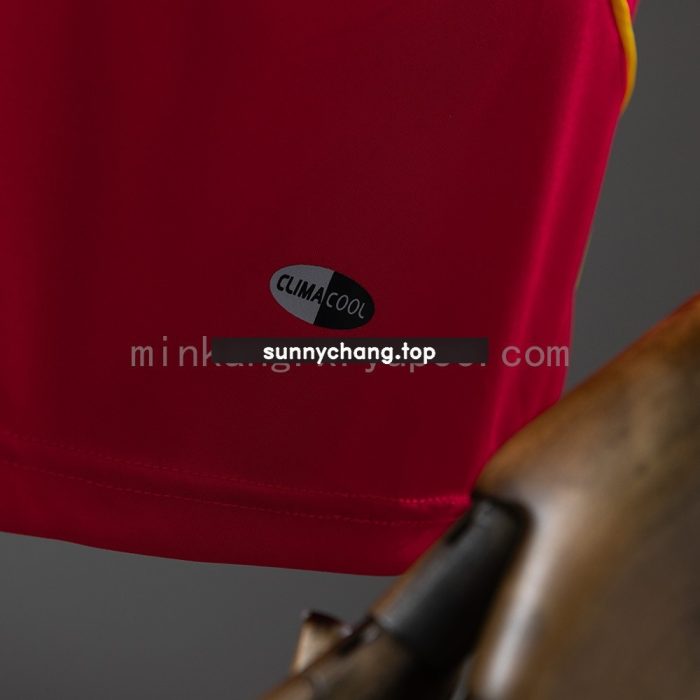 Spain 2008 Home Retro Jersey - 图片 2