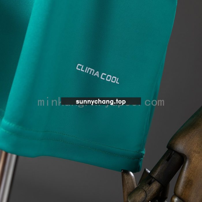 Spain 2010 Goalkeeper Retro Jersey - 图片 2