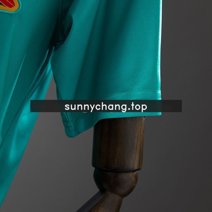 Spain 2010 Goalkeeper Retro Jersey - 图片 3