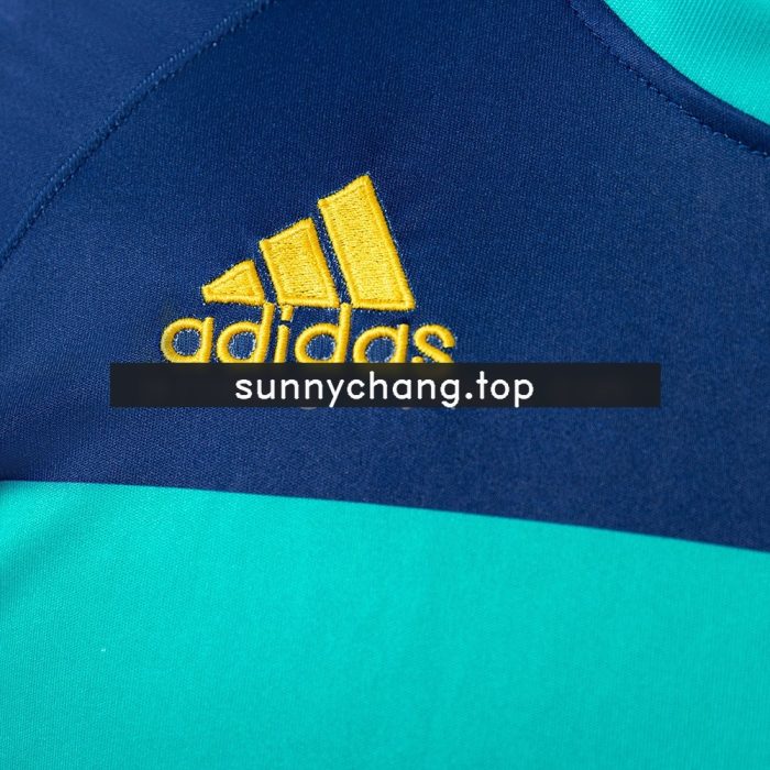 Spain 2010 Goalkeeper Retro Jersey - 图片 4