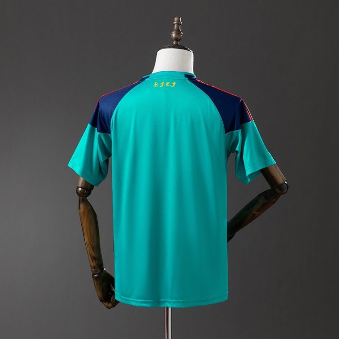 Spain 2010 Goalkeeper Retro Jersey - 图片 7