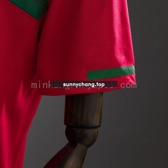 Portugal 2010 Home Retro Jersey - 图片 3