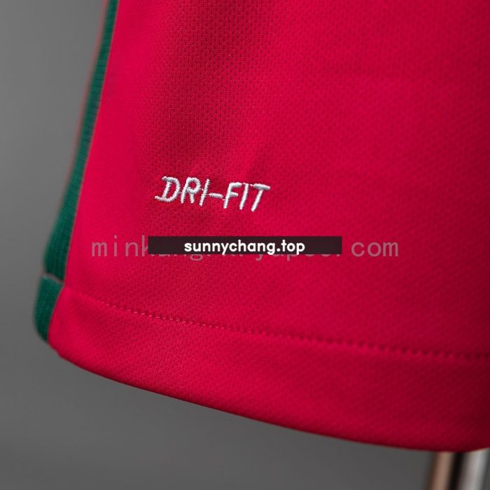 Portugal 2018 Home Retro Jersey - 图片 4
