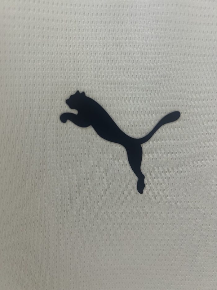 Portugal 2025 Training Shorts - 图片 8