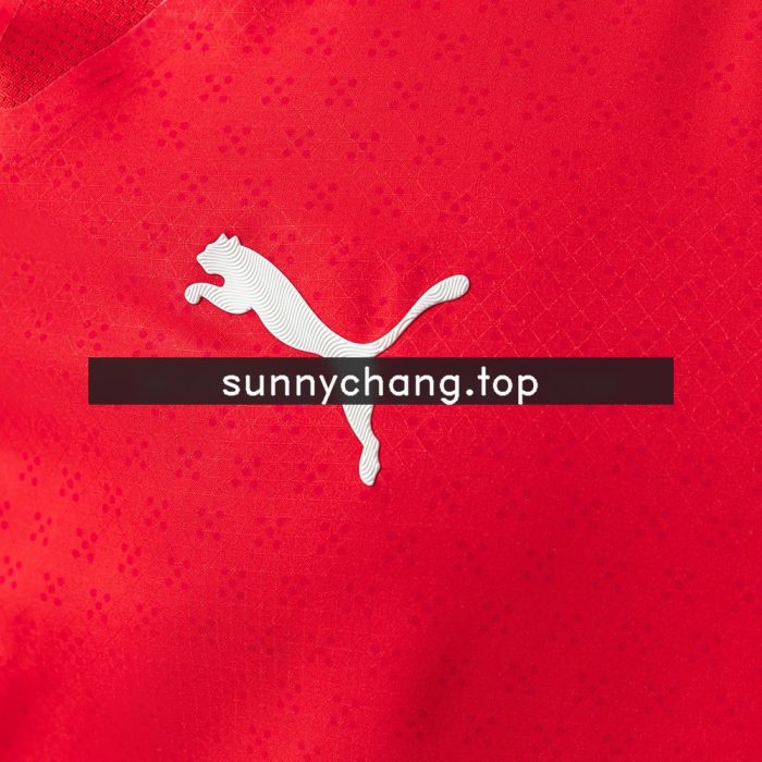 2025 Portugal Home Player Version - 图片 3