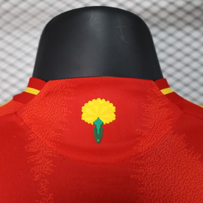 2024 Spain Home Player Version - 图片 2