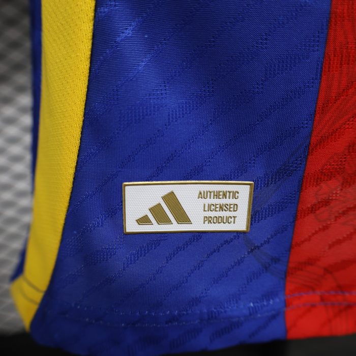 2024 Spain Player Training Jersey - 图片 3