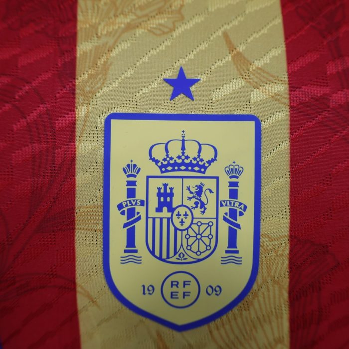 2024 Spain Player Training Jersey - 图片 5
