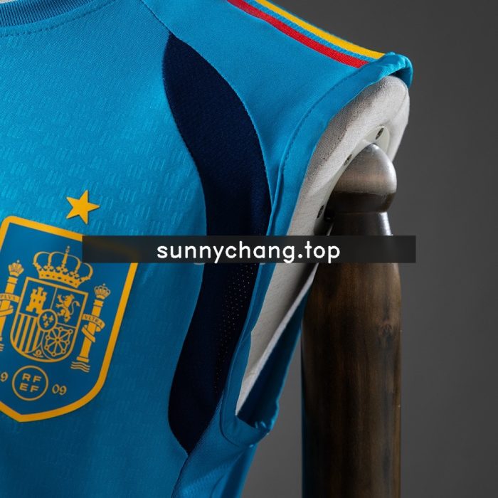 Spain 26/27 Training Vest - Blue - 图片 5