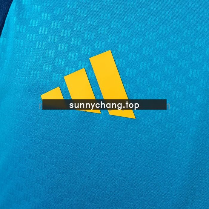 Spain 26/27 Training Vest - Blue - 图片 6