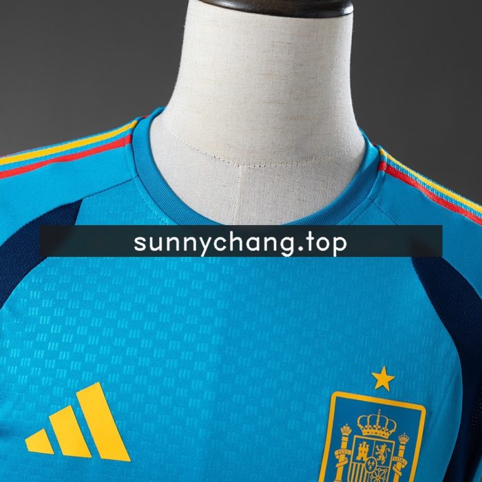 Spain 26/27 Training Vest - Blue - 图片 8