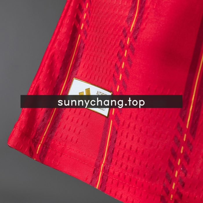 Spain 2026 Home Player Version Jersey - 图片 4