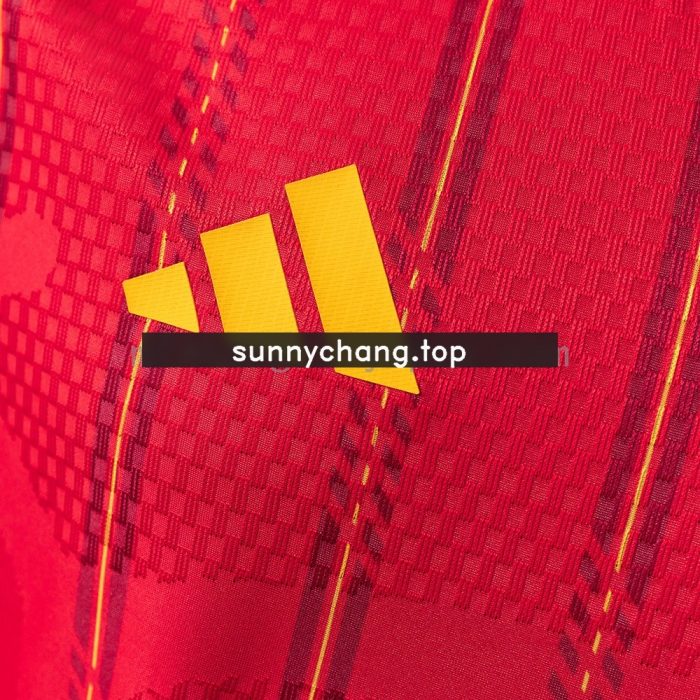 Spain 2026 Home Player Version Jersey - 图片 7