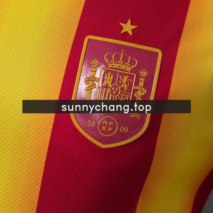 Spain 2026 Special Edition Player Version Jersey - 图片 8