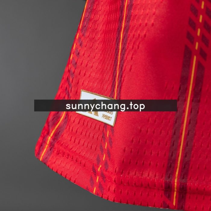 Spain 2026 Home Long-Sleeve Player Version Jersey - 图片 5