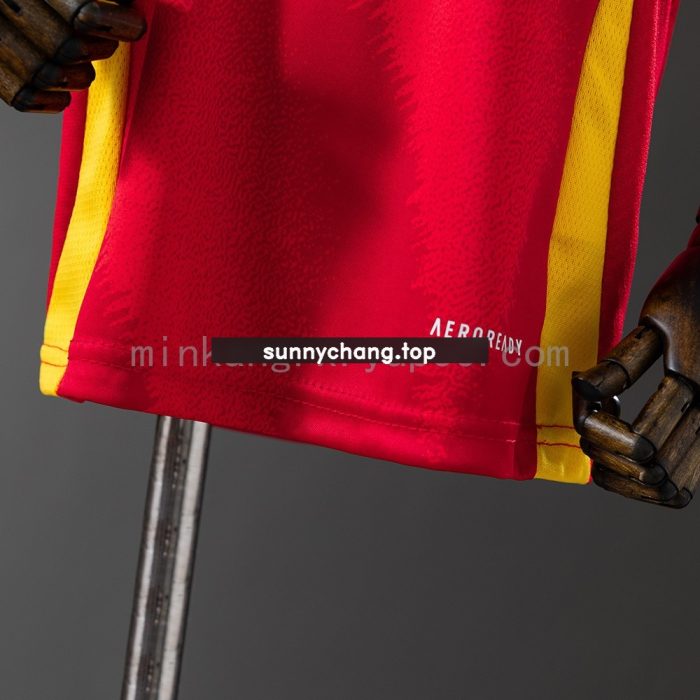 Spain 2024 Home Kids Kit Jersey - 图片 8