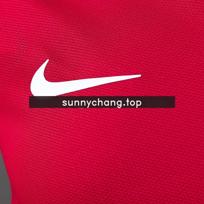 Portugal 2012 Home Player Version Retro Jersey - 图片 4