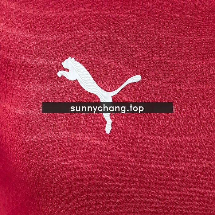 Portugal 2026 Home Player Version Long-Sleeve Jersey - 图片 8
