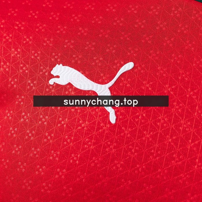 Portugal 2025 Home Long Sleeve Player Version Jersey - 图片 4