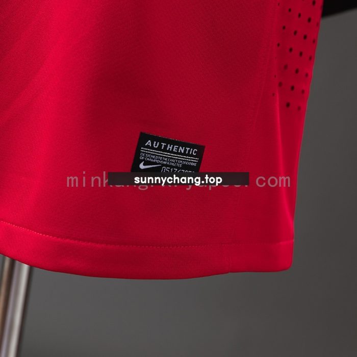 Portugal 2010 Player Version Home Jersey - 图片 2
