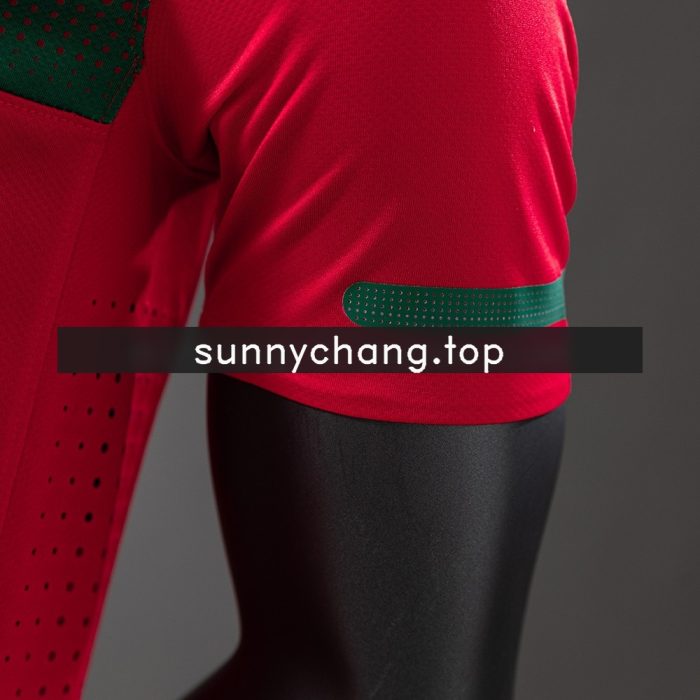 Portugal 2010 Player Version Home Jersey - 图片 3