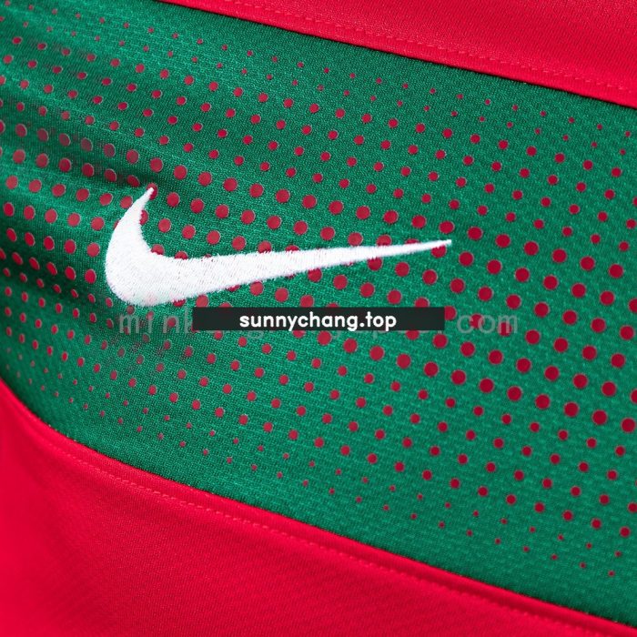 Portugal 2010 Player Version Home Jersey - 图片 4