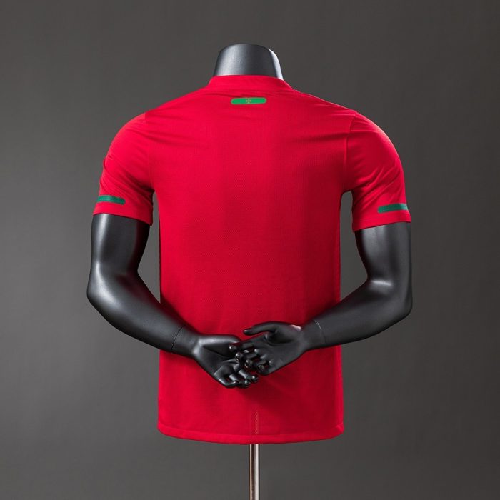 Portugal 2010 Player Version Home Jersey - 图片 7