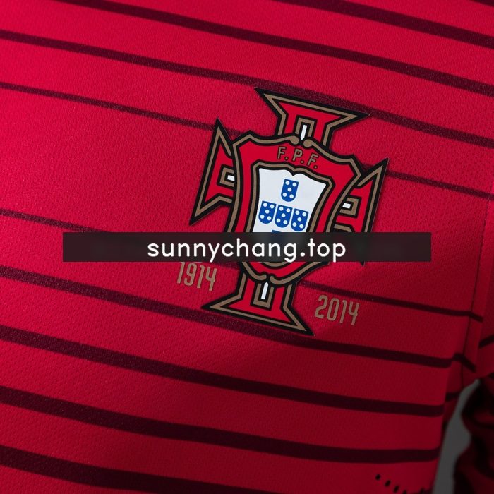 Portugal 2014 Player Version Home Jersey - 图片 5