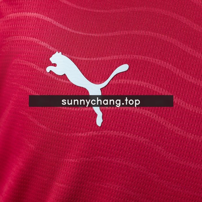 Portugal 2026 Home Long-sleeved Jersey - 图片 7