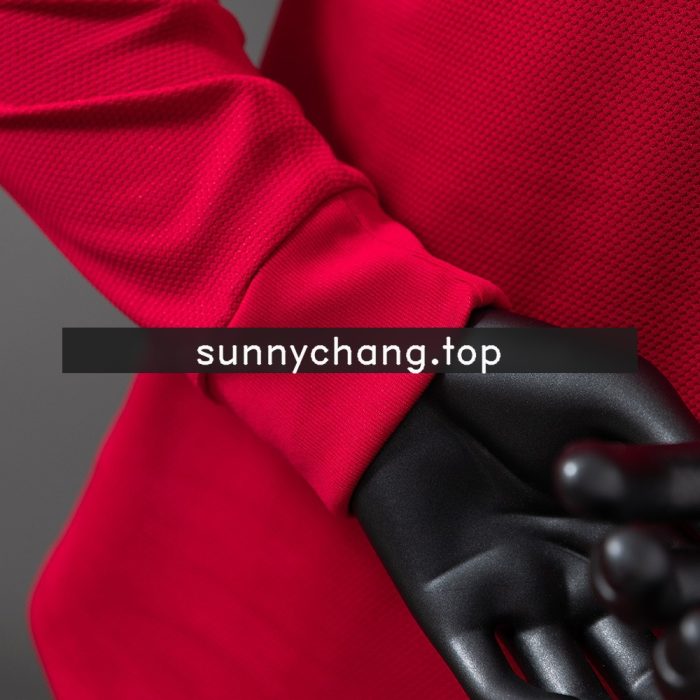 Portugal 2012 Home Long Sleeve Player Version Jersey - 图片 2