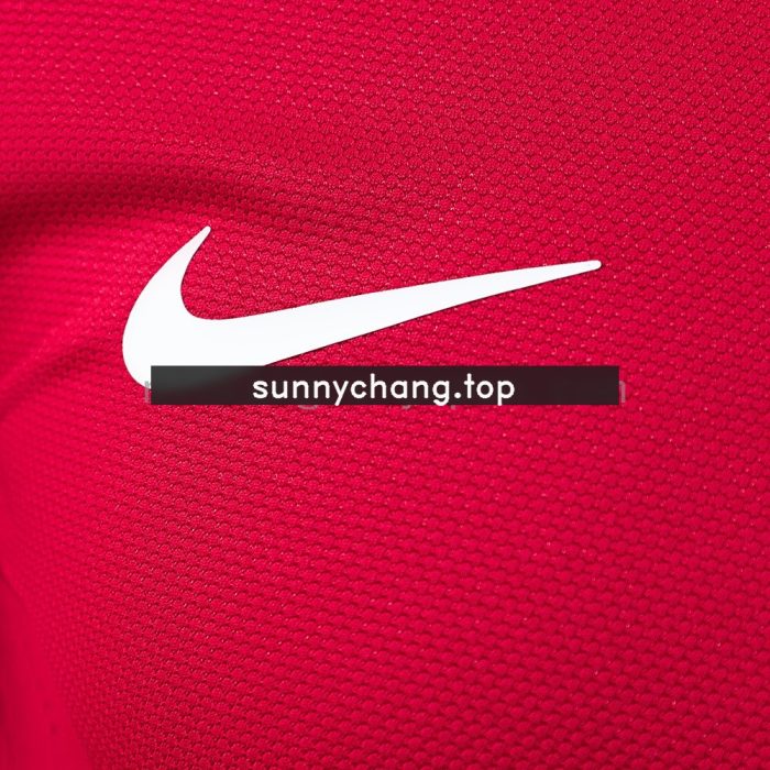 Portugal 2012 Home Long Sleeve Player Version Jersey - 图片 4