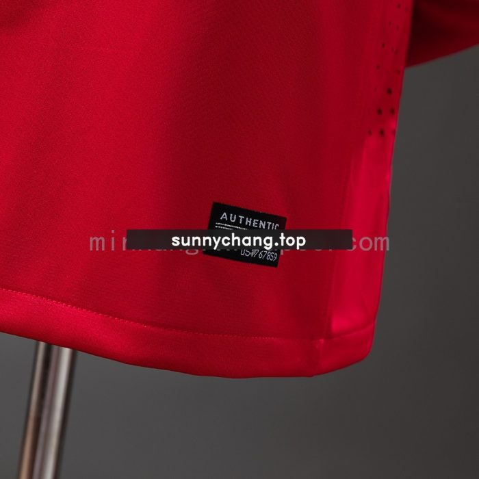 Portugal 2010 Player Version Home Jersey Long Sleeve - 图片 3