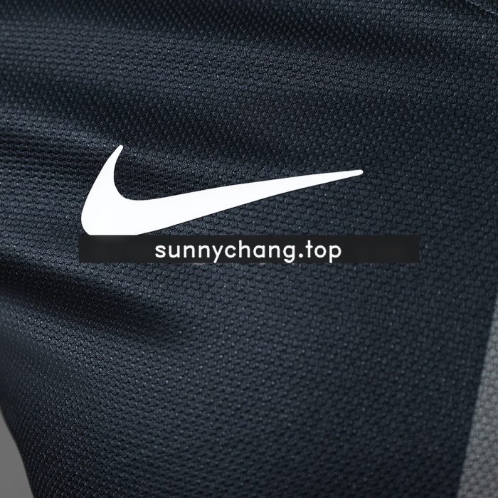 Portugal 2013 Away Long Sleeve Player Version Jersey - 图片 4