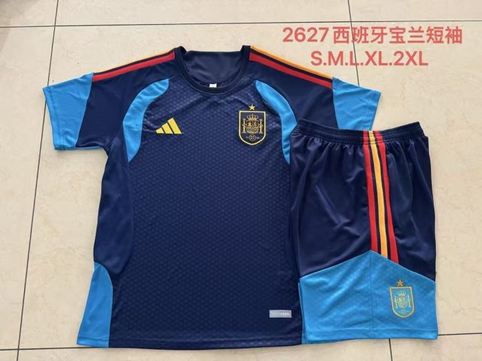 Spain Short Sleeve Training Shirt - 图片 9