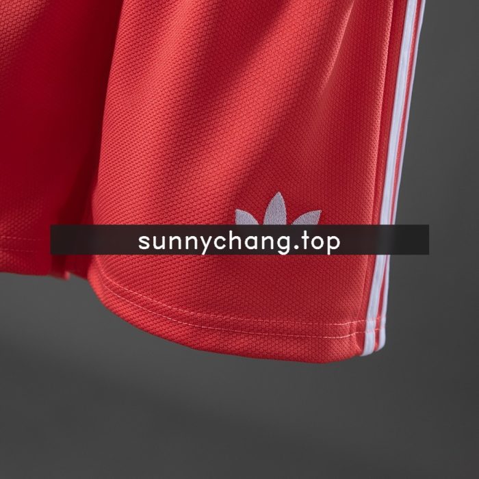 Scotland 2026 Away Kids Jersey - 图片 4