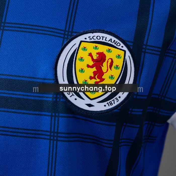 Scotland 2016/17 Home Retro Jersey - 图片 8